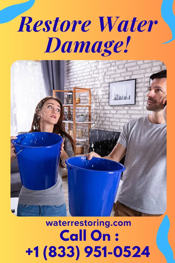 water restoration Golden Mitigation Team Minneapolis