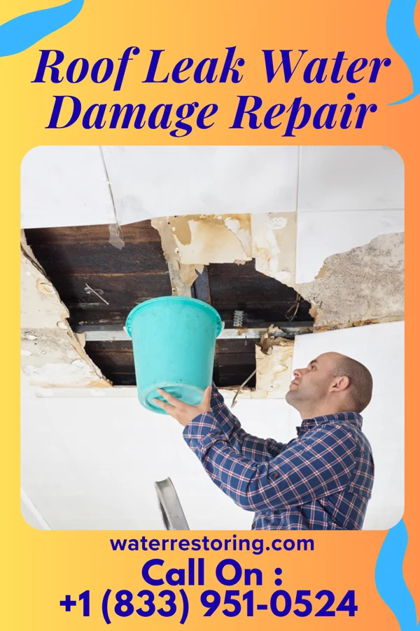 Roof Leak Water Damage Repair in Minneapolis, KS