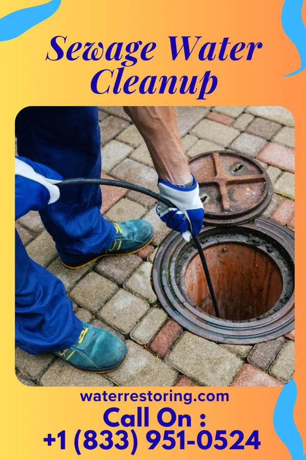Sewage Water Cleanup in Minneapolis, KS